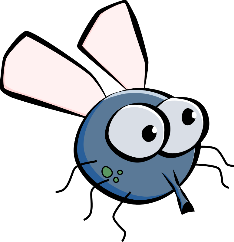 Fly PNG Transparent