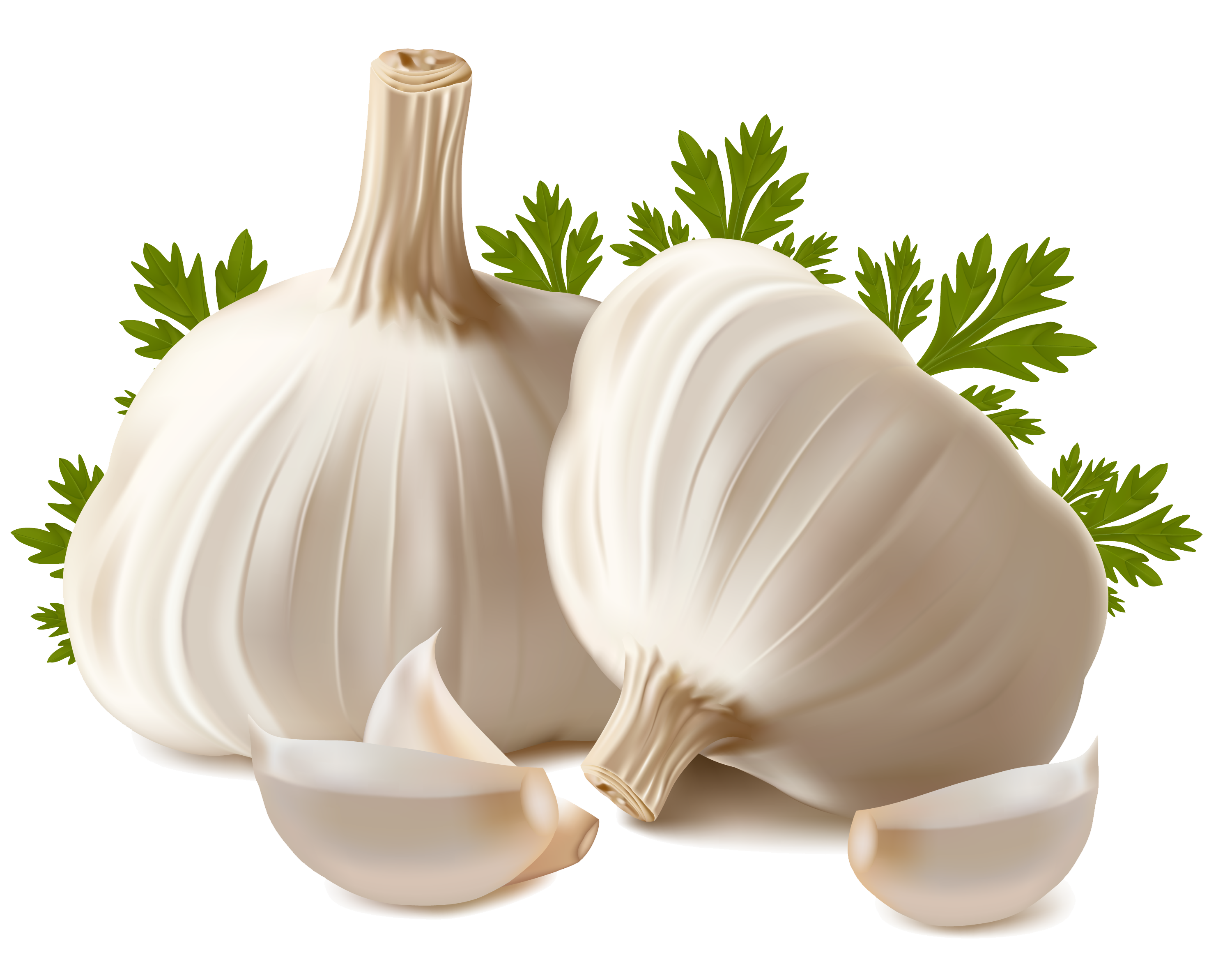 Garlic PNG Clipart
