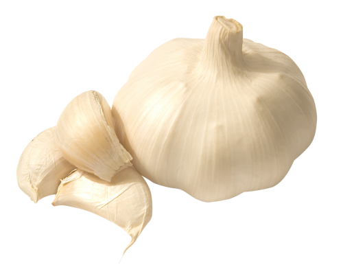 Garlic PNG Free Download