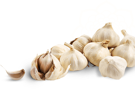 Garlic PNG Transparent Image