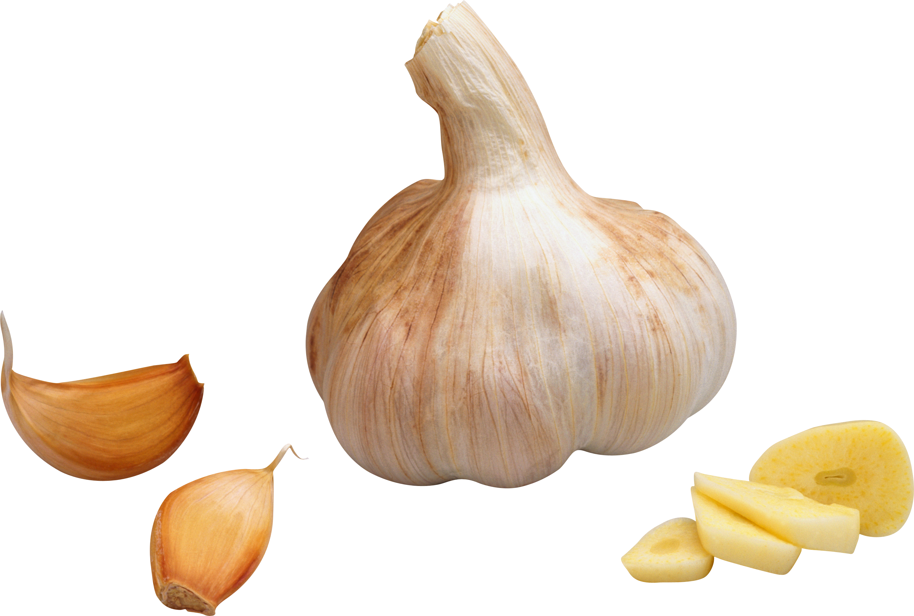 Garlic PNG Transparent
