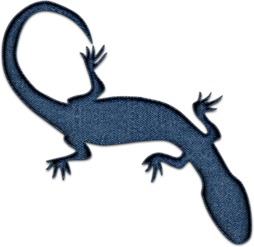 Geckos PNG Picture