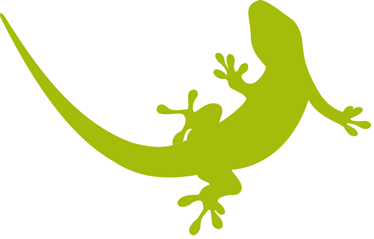 Geckos PNG Transparent Image