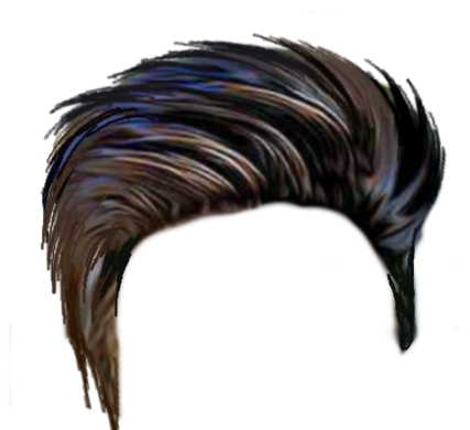 Hair PNG Picture | PNG Mart