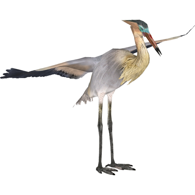 Heron PNG Background Image
