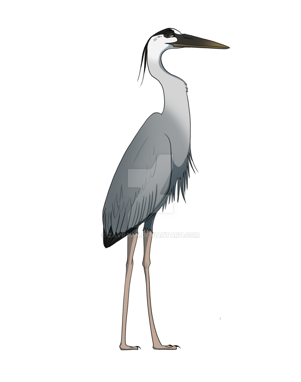 Heron PNG Clipart