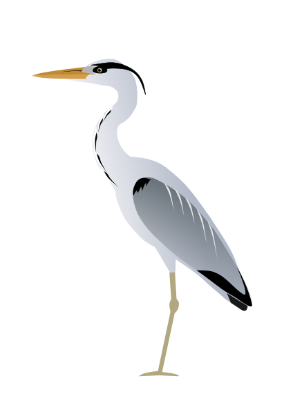 File PNG Heron