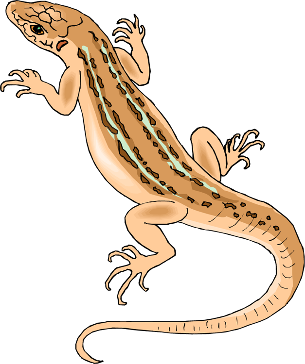 Arquivo de PNG de Lizard Horned