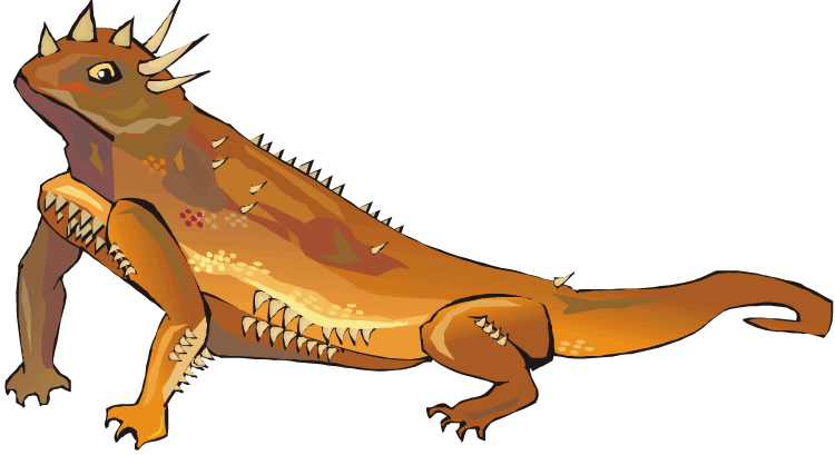 Horned Lizard PNG Transparent Picture