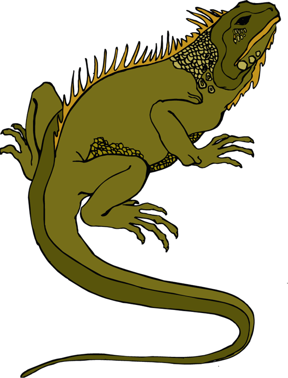 Horned Lizard PNG Transparent