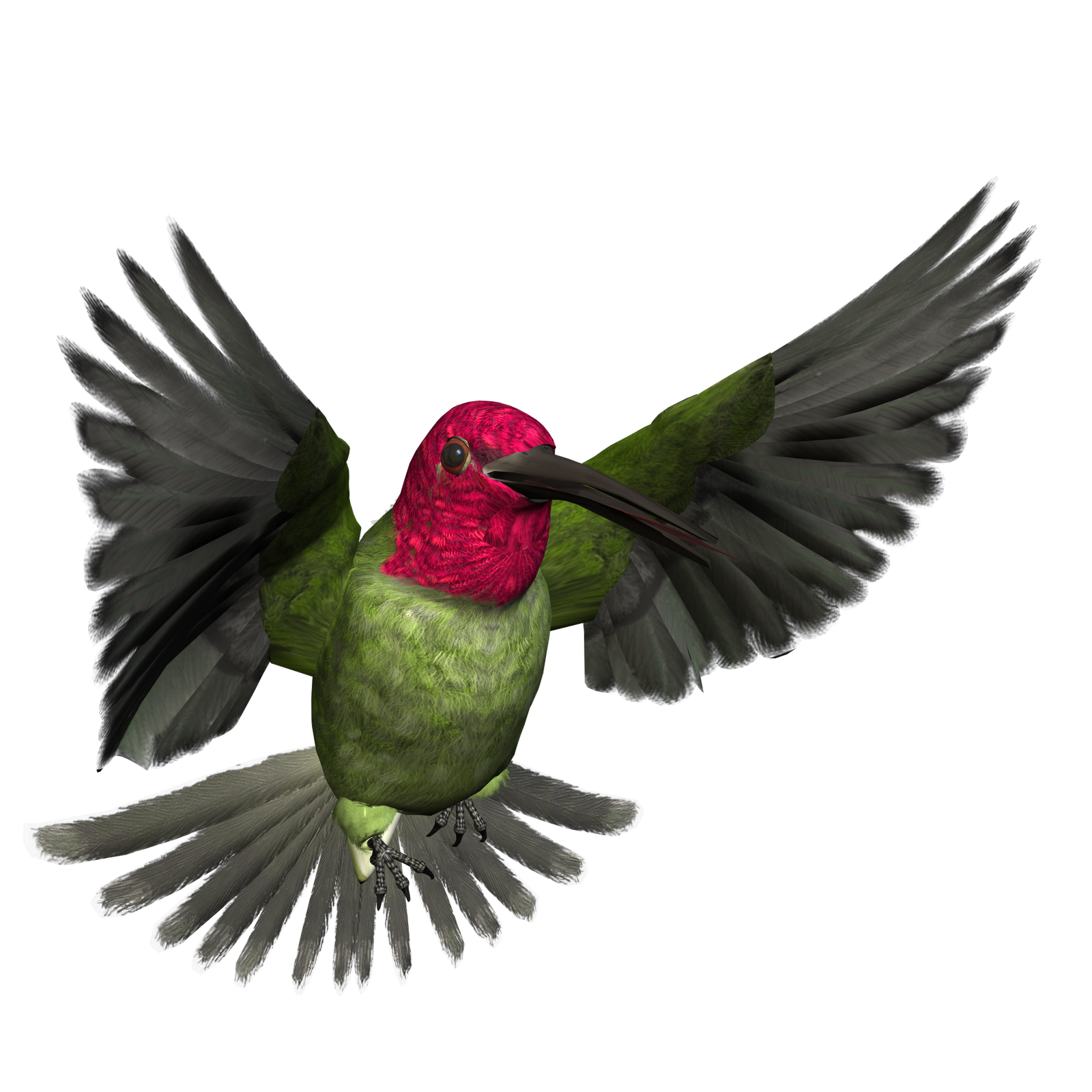 Chummingbird PNG Pic