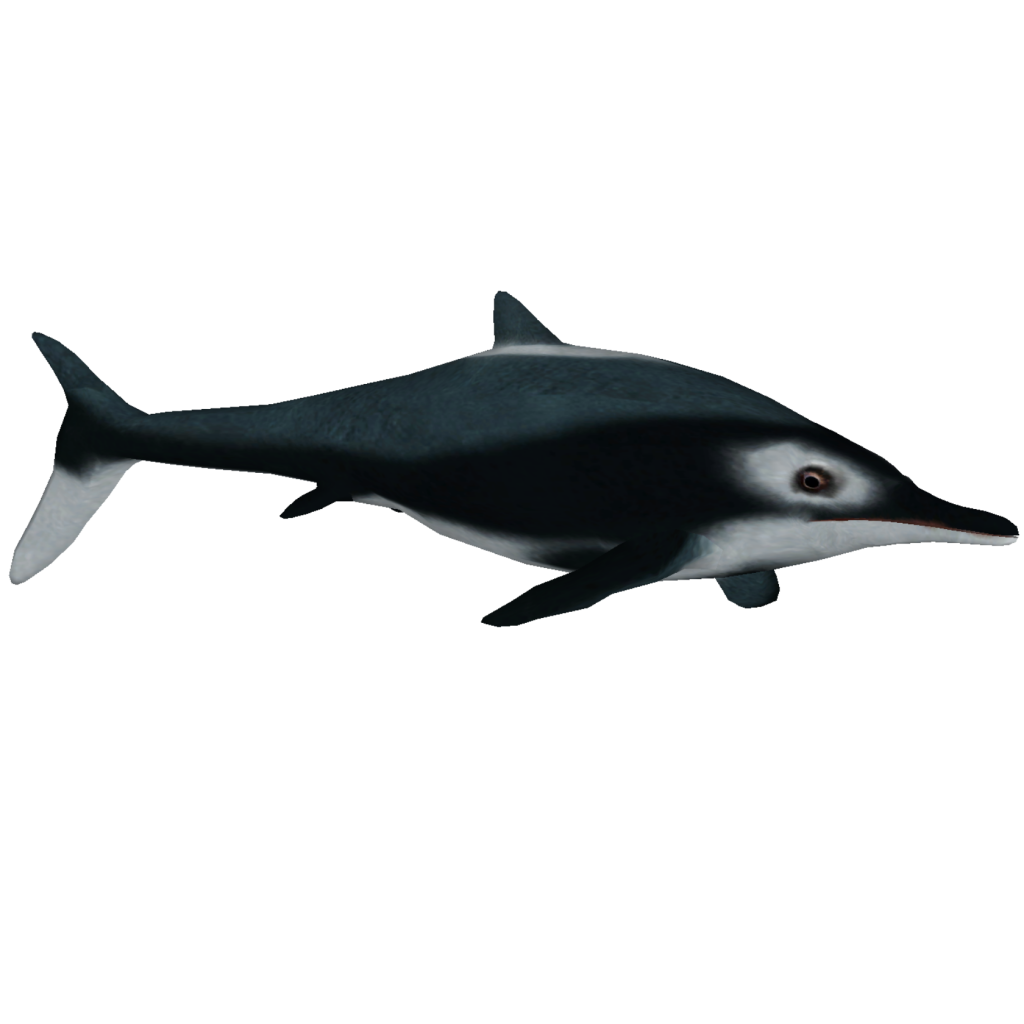 Ichthyosaur Download PNG Image