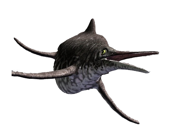 Ichthyosaur PNG Image