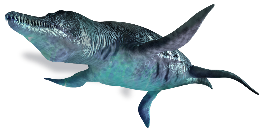 Ichthyosaur PNG Photo