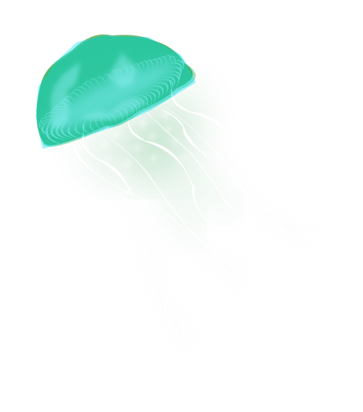 Jellyfish PNG Picture