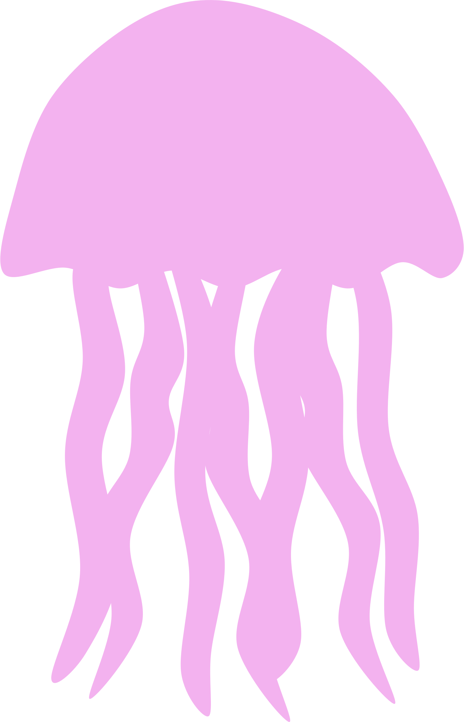 Jellyfish PNG Transparent Picture