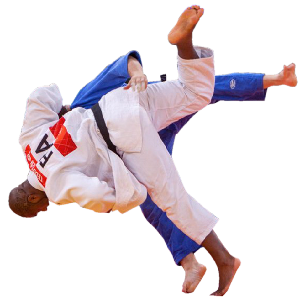 Foto di judo PNG