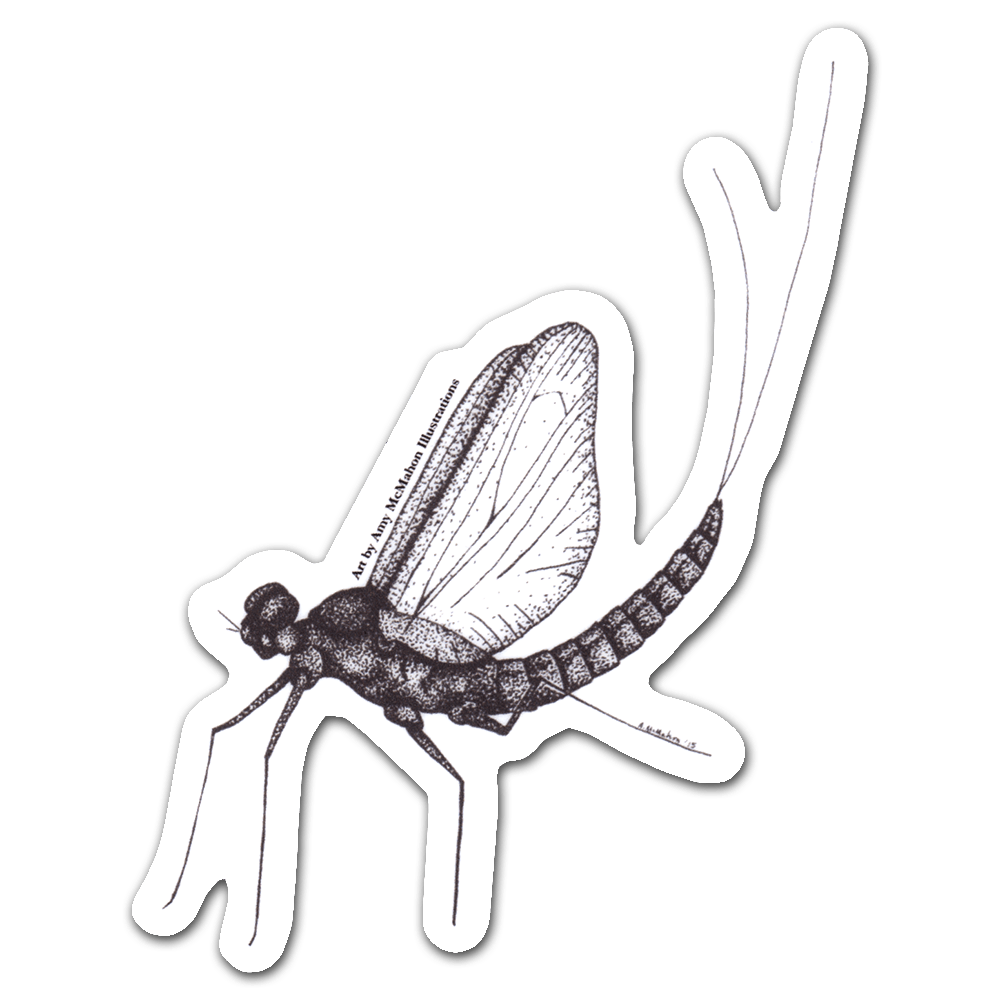 Mayfly PNG File
