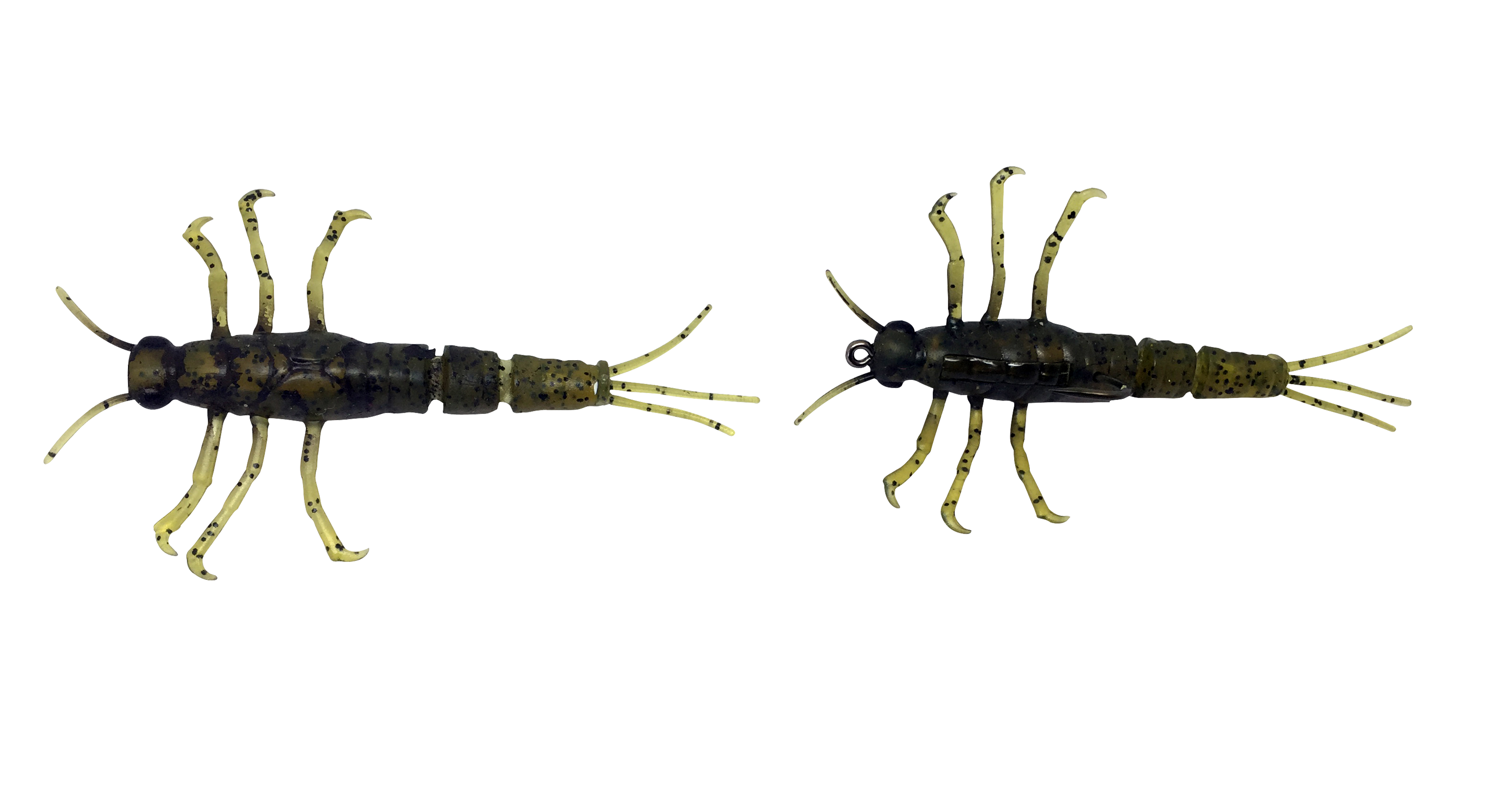 Mayfly PNG Pic