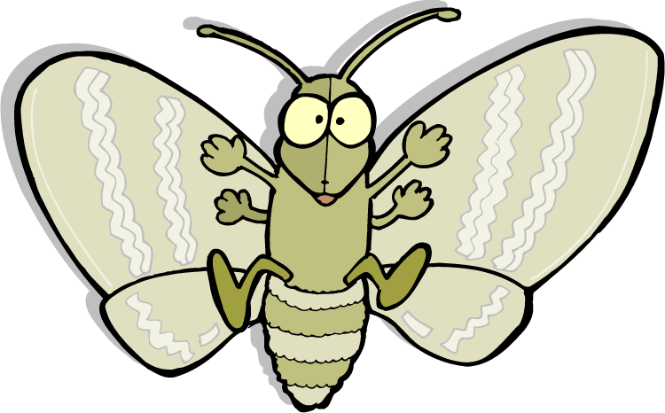 Moth PNG Picture