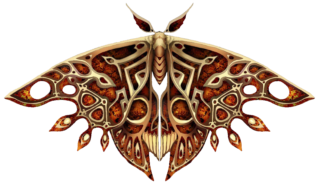 Moth Transparent Images PNG
