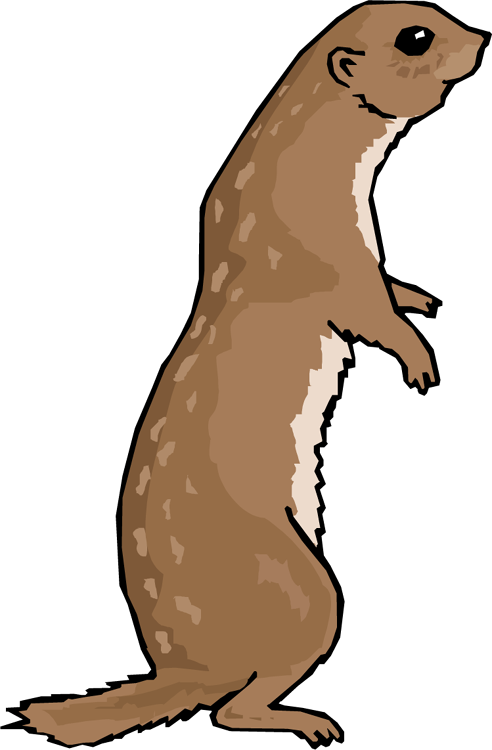 Otter PNG File