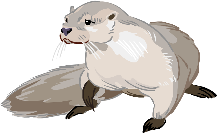 Otter PNG Foto