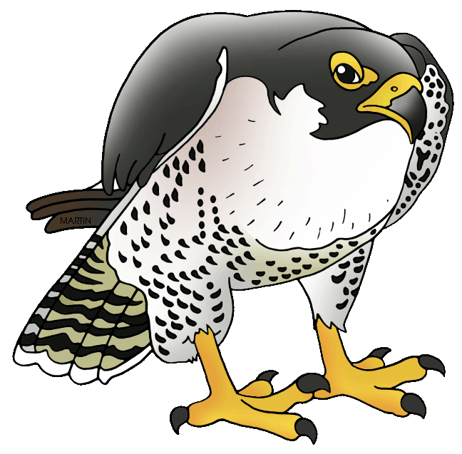 Peregrine Falcon PNG скачать бесплатно