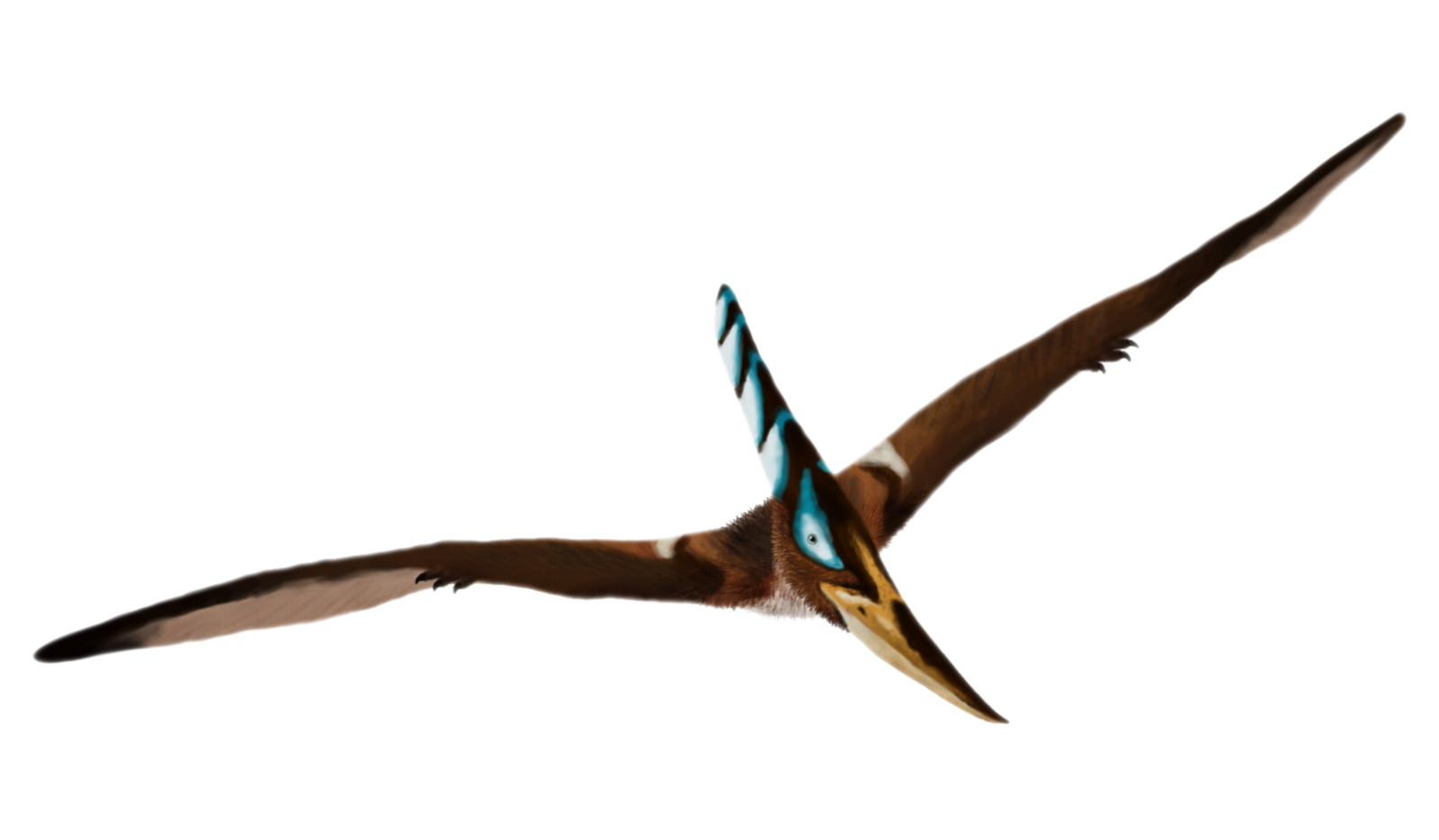 Pterosaurs Download PNG Image