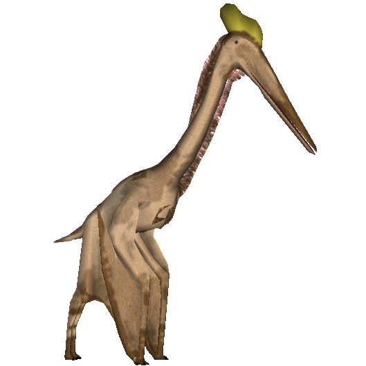 Pterosaurs PNG Background Image