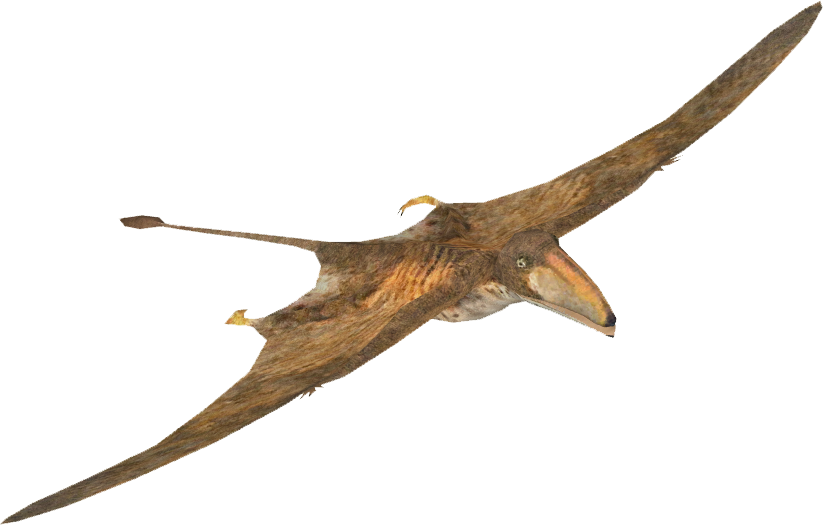 Pterosaurs PNG Picture