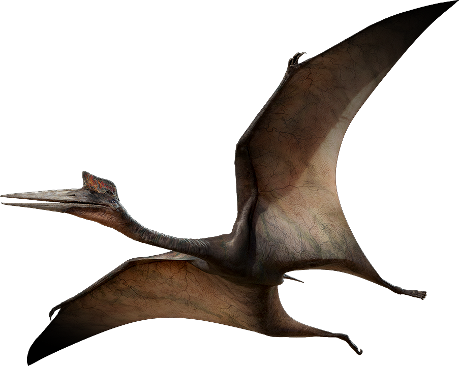 Pterosaurs Transparent Background
