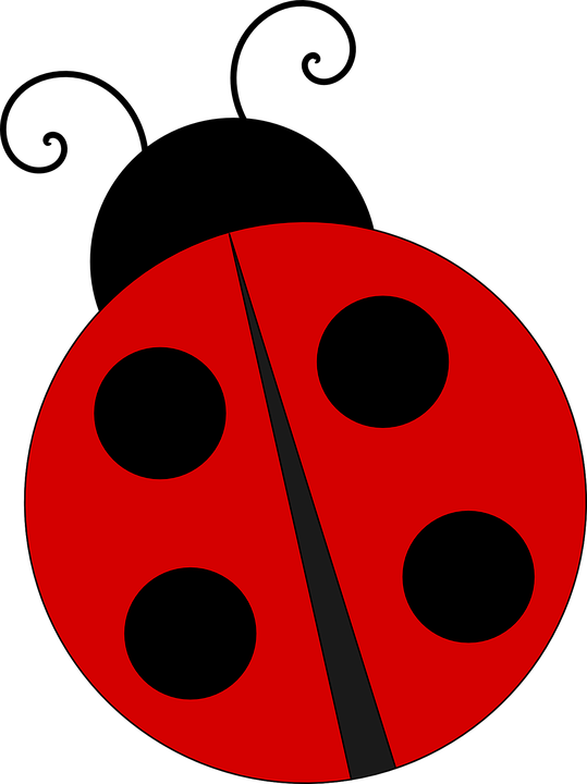 Rode lieveheersbeestje PNG-afbeelding