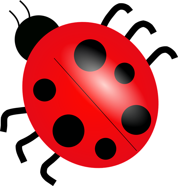 Red Ladybug PNG Picture