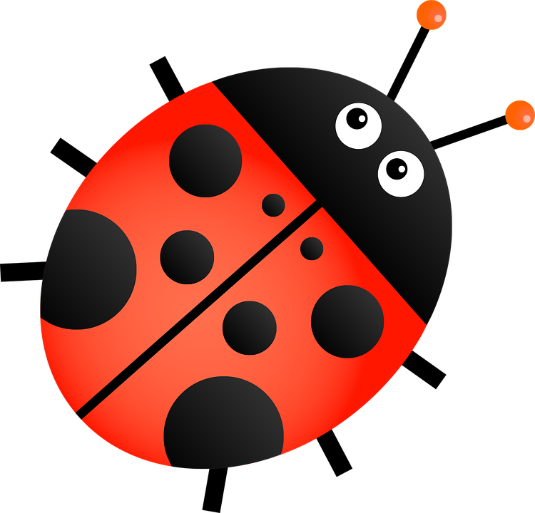 Red Ladybug Transparent Background
