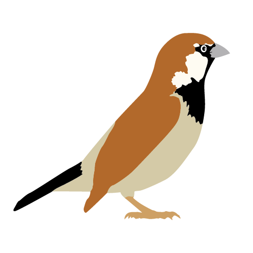 Sparrow Transparent PNG