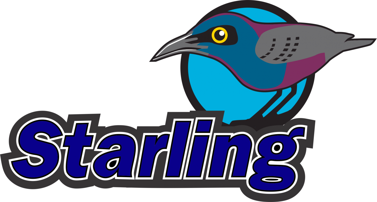 Starling PNG bild