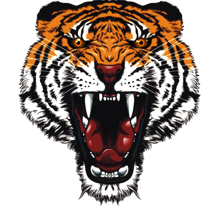 Tiger Tattoos PNG PIC