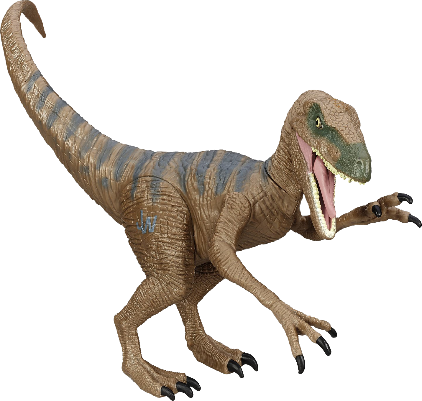 Velociraptor Download PNG Image