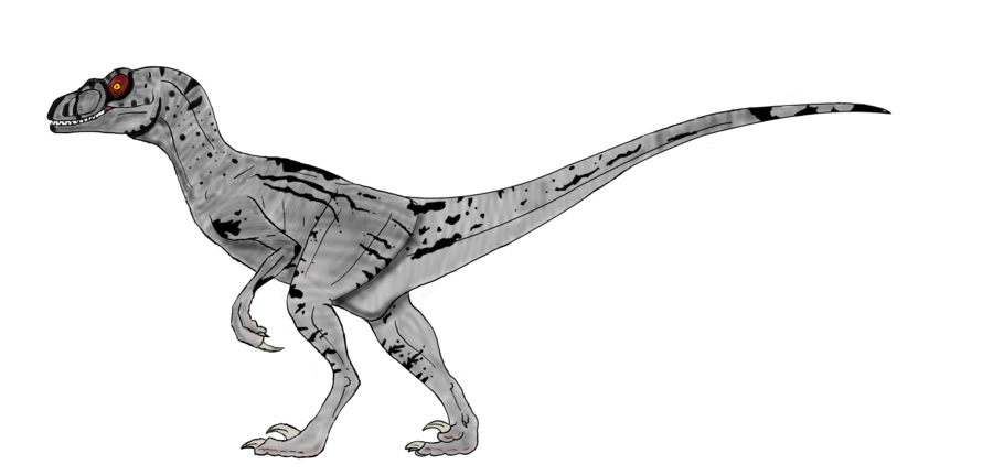 Velociraptor PNG Background Image