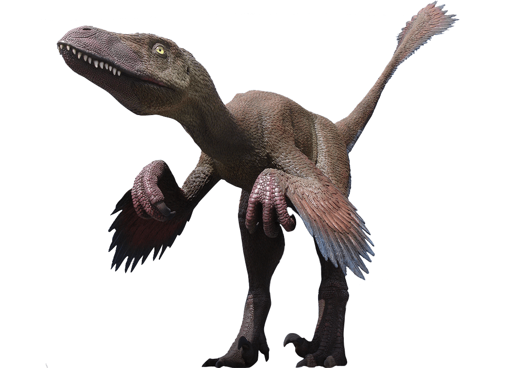 Velociraptor PNG Clipart