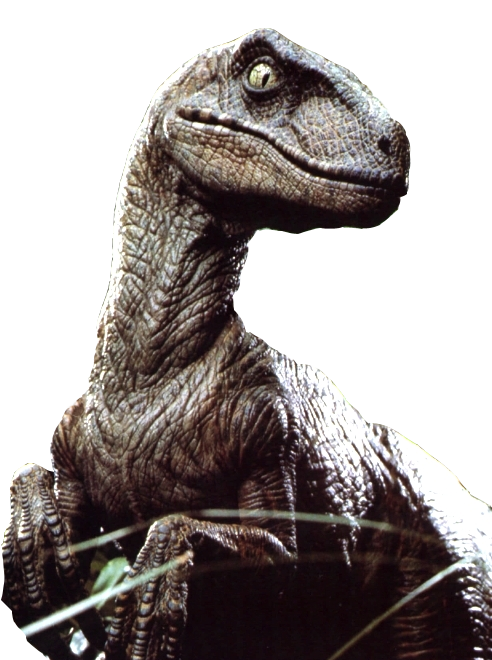 Velociraptor PNG-bestand