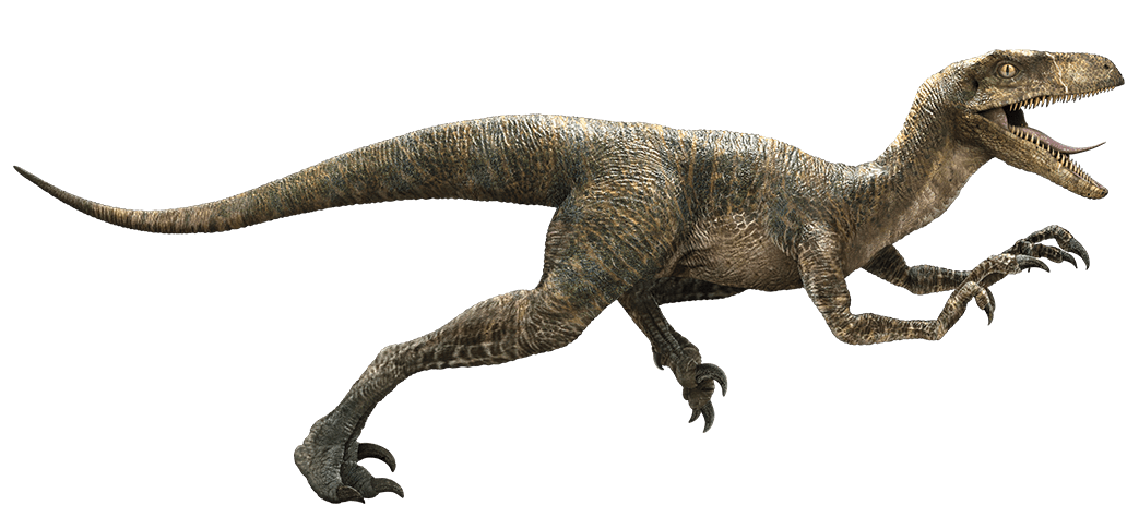 Velociraptor PNG HD