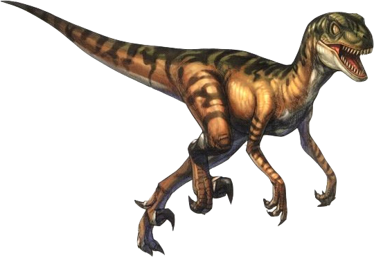 Velociraptor PNG Pic
