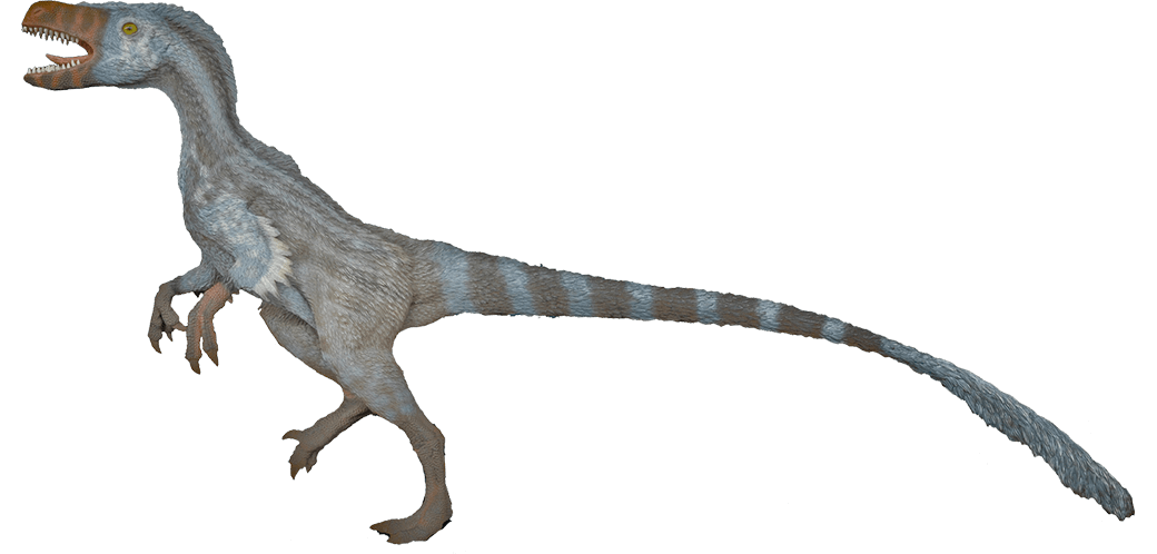 Velociraptor şeffaf görüntüler PNG