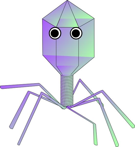 Virus PNG Clipart