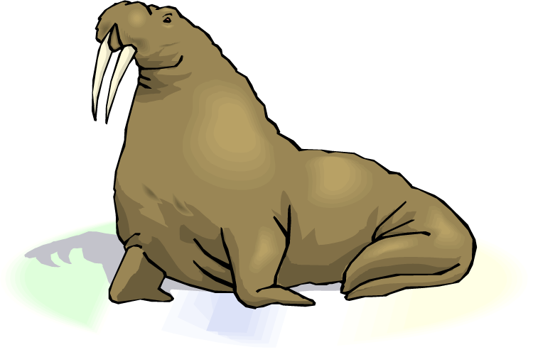 Walrus Transparent Images PNG