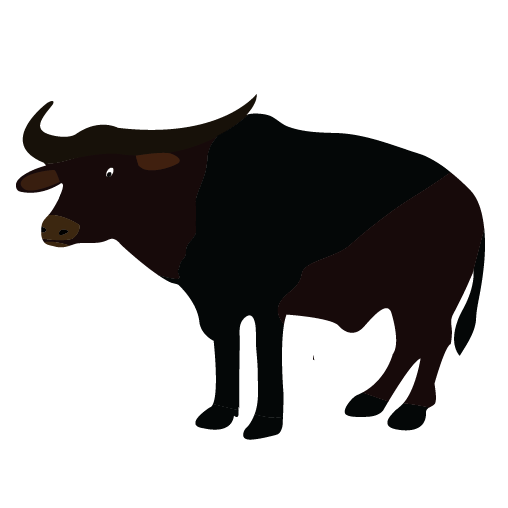 Water Buffalo PNG Picture