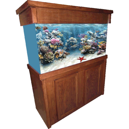 Aquarium Furniture PNG Image