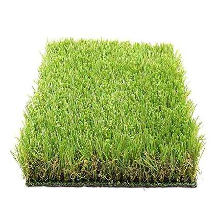 Artificial Turf PNG File